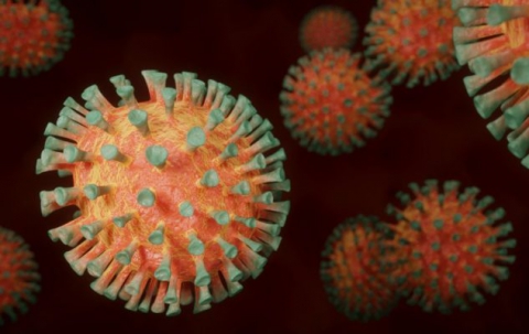 Coronavirus, in Puglia 13 nuovi casi: positivo lo 0,63% dei tamponi